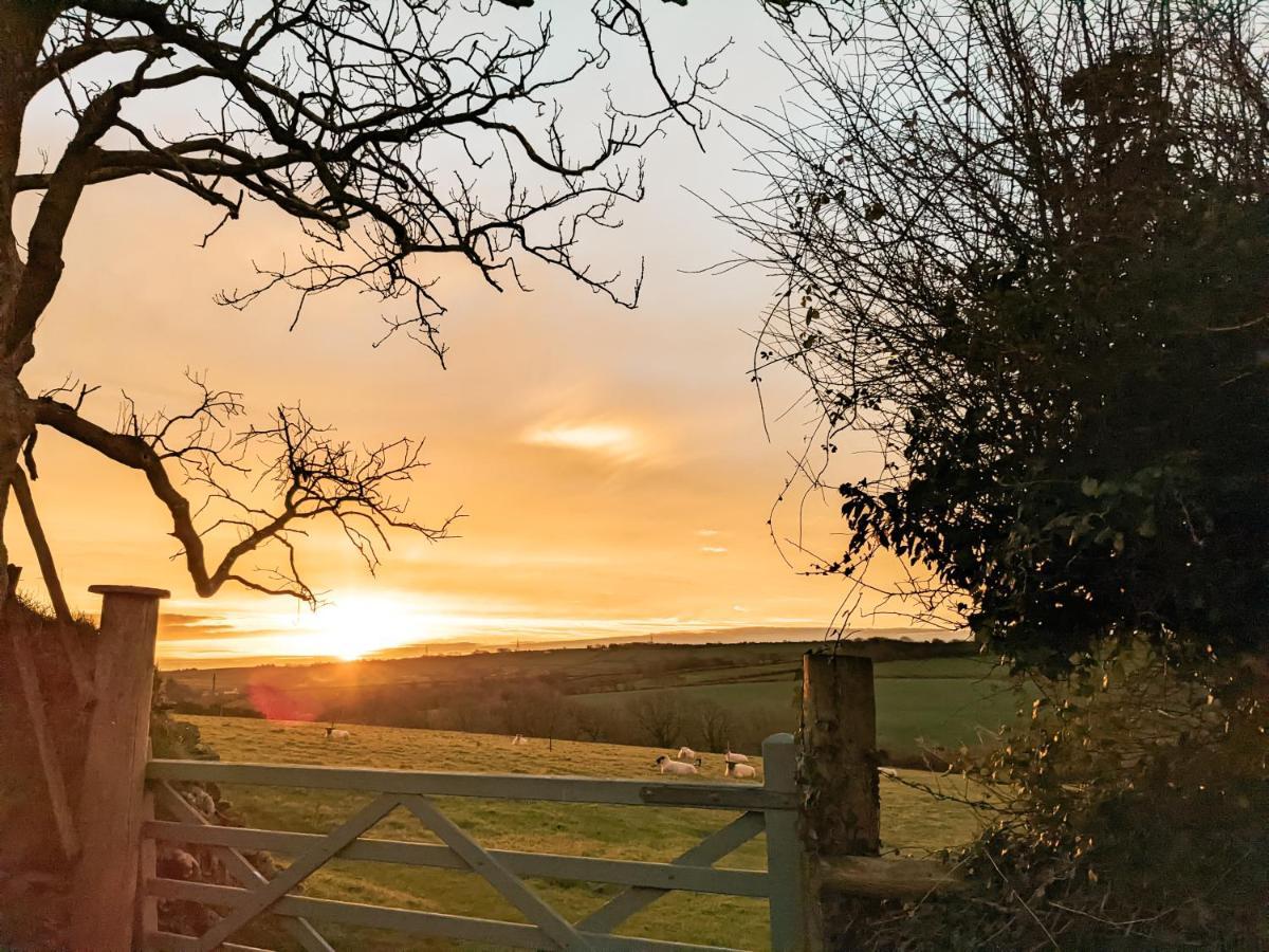 Immaculate Bell Tent Retreat North Devon 比迪福德 外观 照片