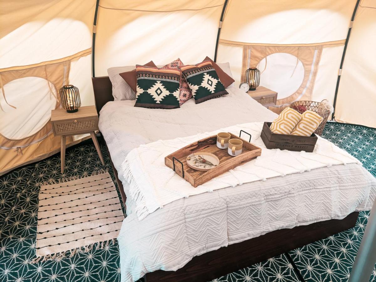 Immaculate Bell Tent Retreat North Devon 比迪福德 外观 照片