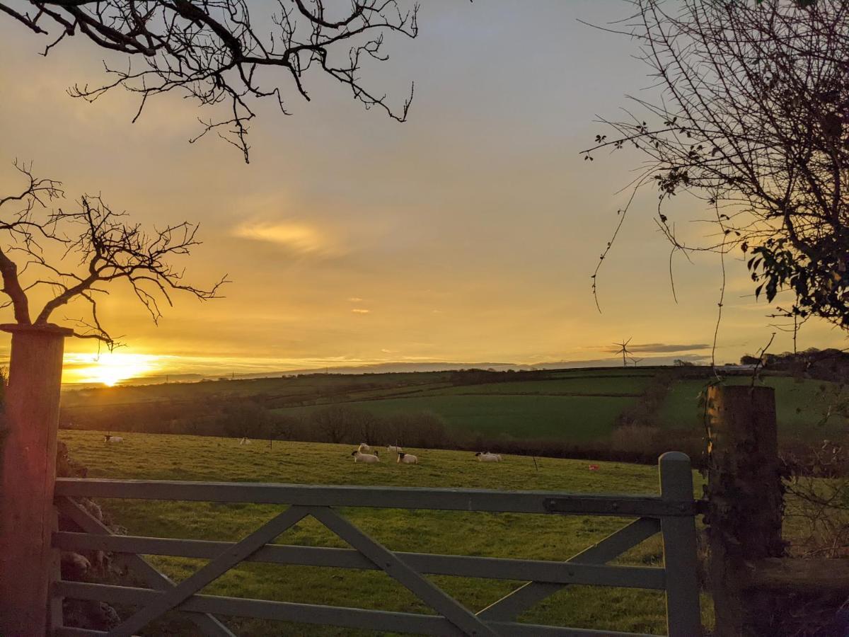 Immaculate Bell Tent Retreat North Devon 比迪福德 外观 照片
