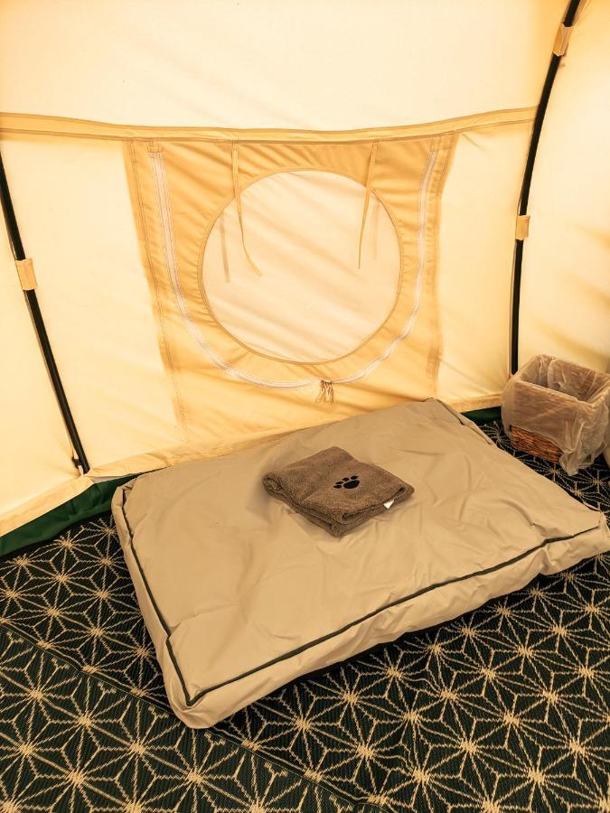 Immaculate Bell Tent Retreat North Devon 比迪福德 外观 照片
